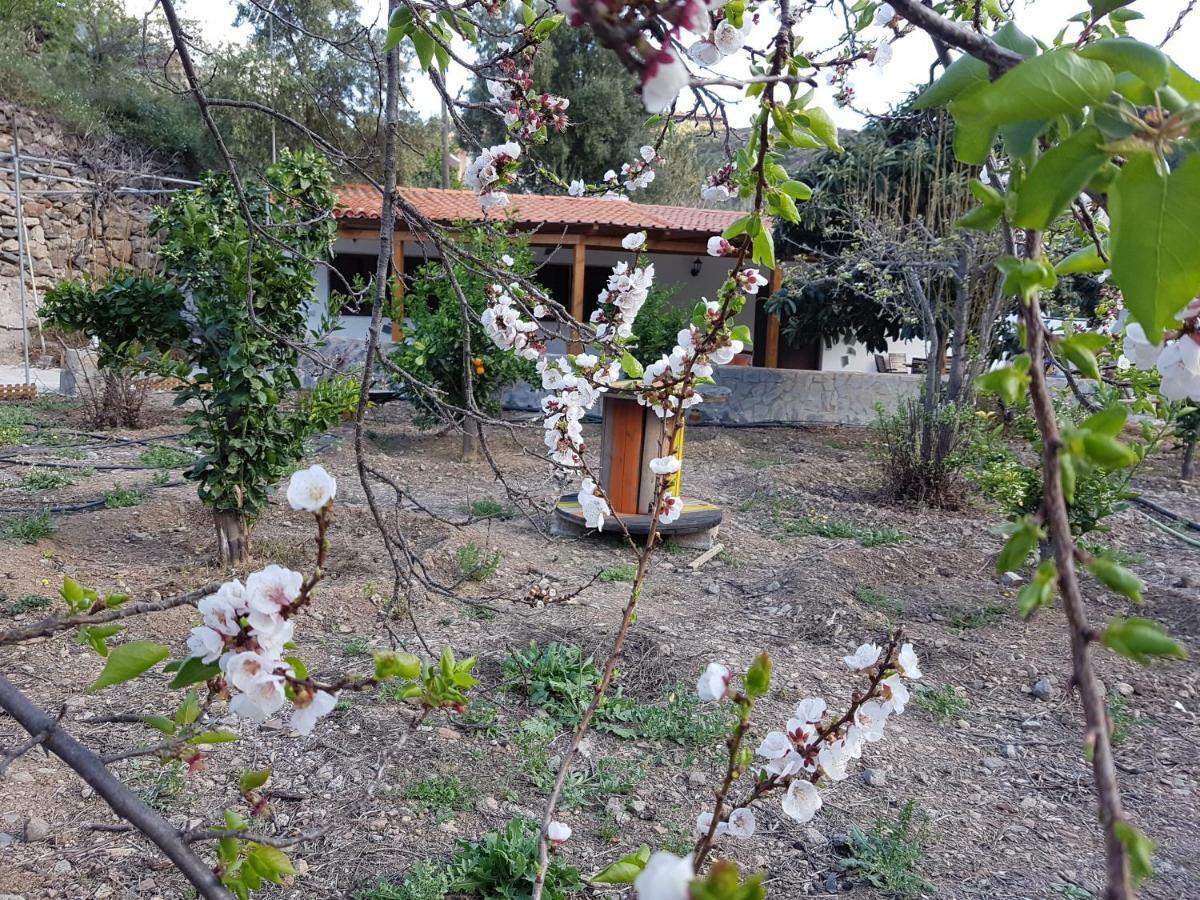 Casa Rural La Hoyita De Tunte Сан-Бартоломе Экстерьер фото